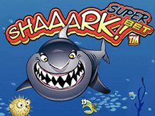 Shaaark Superbet