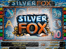 Silver Fox