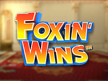Foxin Wins